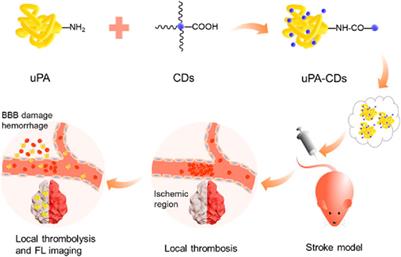 Innovative applications of advanced nanomaterials in cerebrovascular imaging